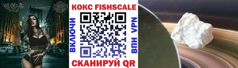 купить наркоту  ссылка на мегу зеркало  Cocaine FishScale  Велиж 