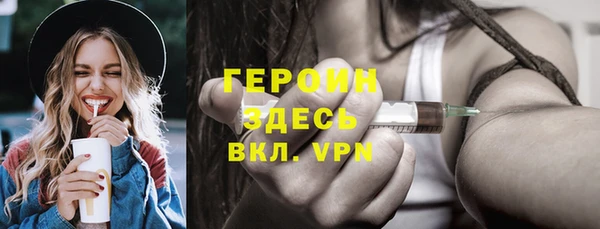дмт Бородино