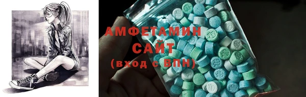 дмт Бородино