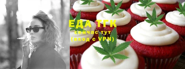 дмт Бородино