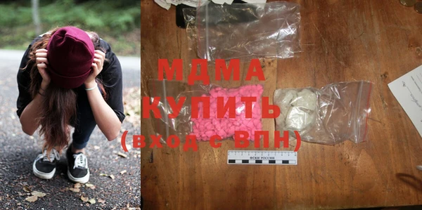 дмт Бородино