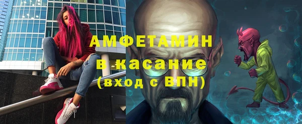 дмт Бородино