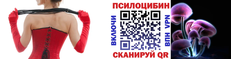 где можно купить наркотик Велиж Псилоцибиновые грибы мухоморы